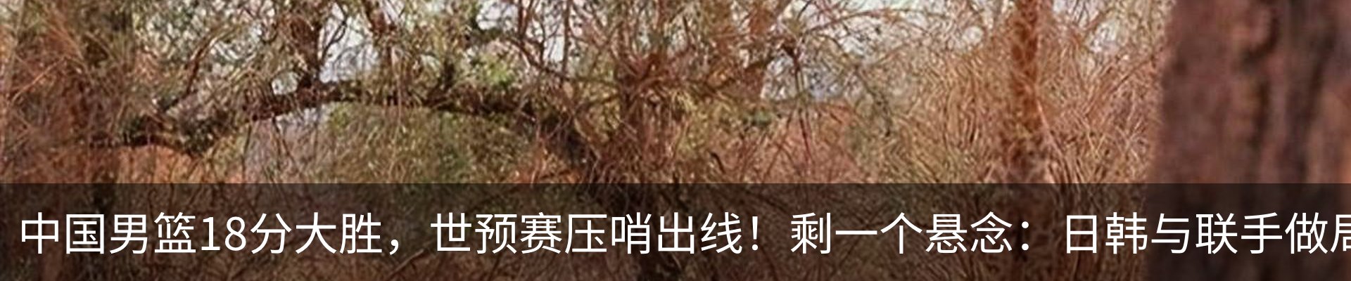 行业资讯