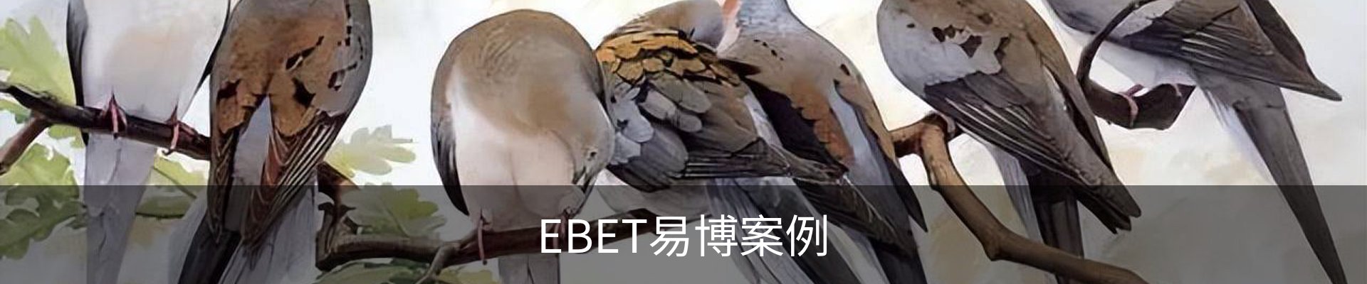EBET易博案例